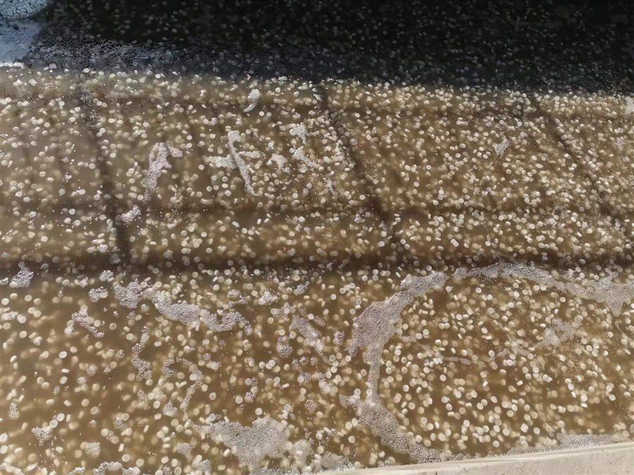 MBBR moving bed biofilm media