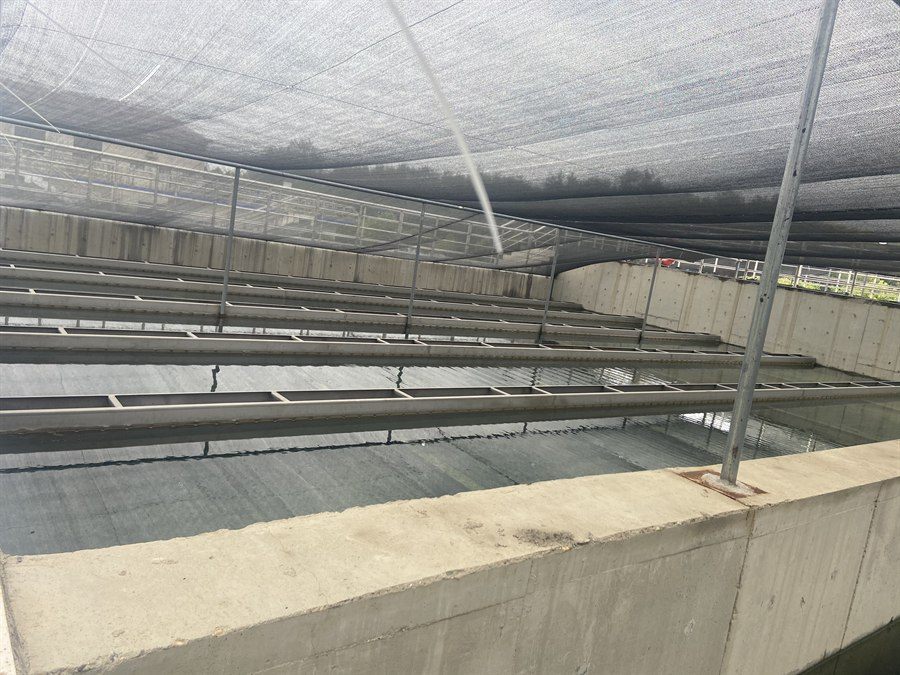 Stainless steel collection troughs installed under a shade net at a treatment plant